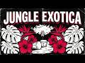 1950s Jungle Exotica & Bongo Fever 🌴 Lost Temples & Cinematic Tribal Grooves