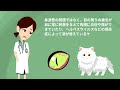 ペルシャ猫の特徴や気を付けたい病気など【獣医師執筆監修】