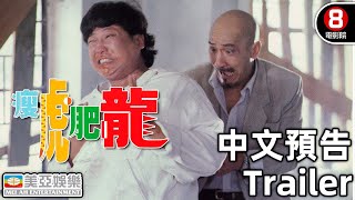 洪金寶 金像獎終身成就獎｜瘦虎肥龍(中文預告片 Trailer)｜洪金寶｜麥嘉｜吳家麗｜倪匡｜胡楓 ｜8號電影院 HK Movie｜粵語中字｜香港電影｜Hong Kong Movie｜美亞