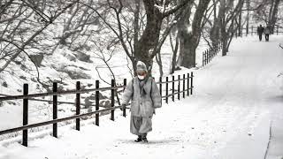 Winter At Gyeryongsan National Park (Nikon D90 and Lumix FX150)