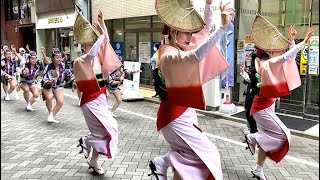 飛鳥連　浅草橋紅白マロニエまつり 2023