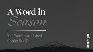 A Word in Season: The Work Established (Psalm 90:17)