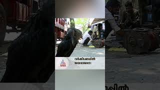 പറക്കാനാകാത്ത പക്ഷിക്കു‍ഞ്ഞുങ്ങൾക്ക് രക്ഷകനായി ജയരാജൻ