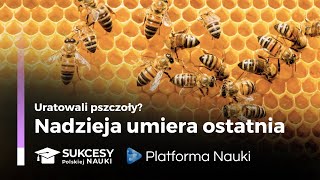 Odkrycie warte każdych pieniędzy - badania z Białegostoku