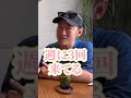 エジプト駐在員必見！人気和食レストラン shorts