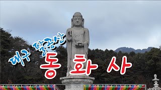 대구 팔공산. 동화사