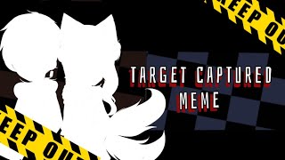 Target Captured | Animation meme