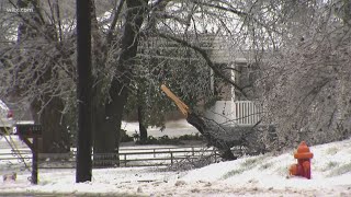Trees down in downtown Nashville due to winter weather