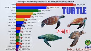 Largest Turtle Farm Production in the World