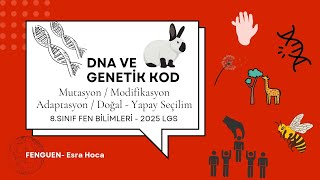 DNA Ve Genetik Kod 3 | 8.Sınıf | Fen Bilimleri | Mutasyon - Modifikasyon - Adaptasyon| FENGUEN| #lgs