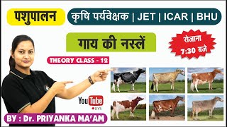 गाय की नस्लें || पशुपालन || JET COACHING || THEORY CLASS - 12 || JET/ICAR/BHU/SKNAU JOBNER ||