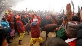 गढिमाई पाँच बर्षे मेला २०८१ । Gadimai mela 2081 #gadhimai