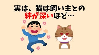 猫の知られざる雑学 #猫 #雑学 #豆知識 #聞き流し #ねこ