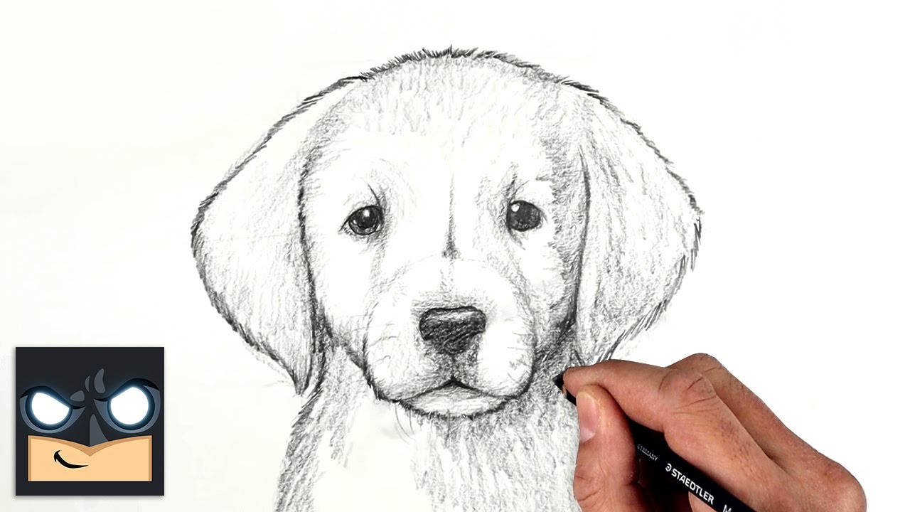 How To Draw A Realistic Puppy