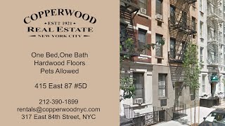 415 East 87 Apt 5D