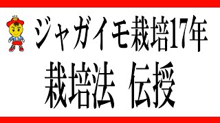 【自然栽培57】ジャガイモの植え付けから、収穫まで要点説明するよ。(o^―^o)ﾆｺ