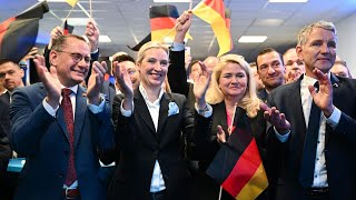 Analyse: Darum war die AfD bei der Wahl so stark