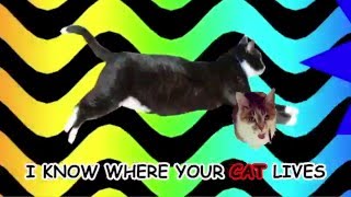 I Know Where Your Cat Lives: National Giveaway