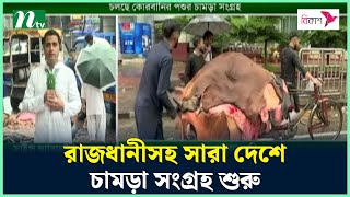 রাজধানীসহ সারা দেশে চামড়া সংগ্রহ শুরু | Leather | NTV News