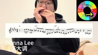 Donna Lee in 12 Keys (harmonica)