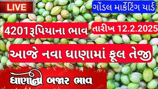 નવા ધાણા ના ભાવ / ધાણાના બજાર ભાવ / ધાણાના સૌથી ઊંચા ભાવ / ધાણી ના બજાર ભાવ / 12.2.2025