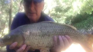 Fishing Plenty River near Yallambie...SUBURBAN FISHING