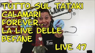 TUTTO TATAKI - CALAMARI FOREVER   - LIVE 47 BY FISHERLANDIA