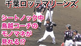 鳥越コーチのモノマネが見れる！？試合前のシートノック【千葉ロッテマリーンズ】