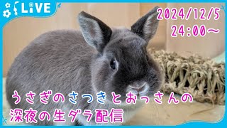 【雑談・うさぎ】うさぎのさつきとおっさんの深夜の生ダラ配信　2024/12/5