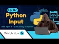 Python Input Function Tutorial – How to Take User Input in Python (Beginner Guide)