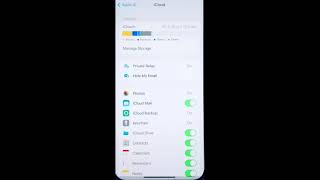 iOS 15 features: How to enable or disable iCloud private relay in iPhone 13 pro max