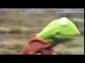 Kermit Dies In A Tragic Bicycle Accident But it's More Tragic