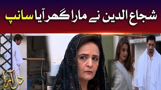 Shujauddin Nay Mara Ghar Aaya Sanp | Dilaara | Pakistani Drama Serial | BOL Drama | BOL Drama