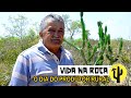 [VIDA NA ROÇA] Pedro Flór mostra seu rebanho de BOVINOS e CAPRINOS e a estrutura de sua Fazenda 🌵