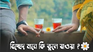 বিচ্ছেদ মানে কি?🌼 || বিচ্ছেদের যন্ত্রণা || Bebangla heart touching || Bengali sad love poem ||যোগ্য