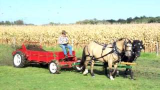 Spreading manure 2.MOV