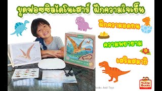 ของเล่นขุดฟอสซิลไดโนเสาร์ ฝึกความอดทน ความใจเย็น (ร้าน Totty Books and Toys)