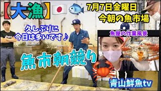 【大漁⁉︎】【魚市朝競り】【魚屋の作業風景】今朝の魚市場7月7日金曜日の水揚げ状況！