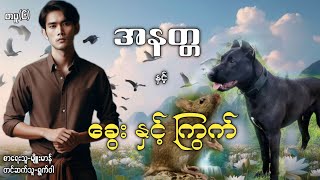 အနတ္တ နှင့် ခွေးနှင့်ကြွက်  စာမူ(၆)