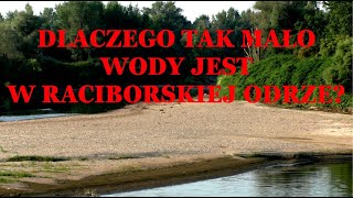 DLACZEGO TAK MAŁO WODY JEST W RACIBORSKIEJ ODRZE? #1