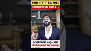 Role of Chymotrypsin Enzymes