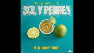 Sech, Daddy Yankee, J Balvin - Sal y Perrea Remix  (AUDIO)