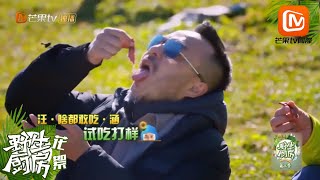 上头了！汪涵林依轮生吃羊肝，艾福杰尼在一旁看呆了《野生厨房2》Wild Kitchen S2【湖南卫视官方HD】