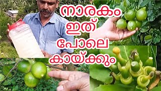 പത്ത് രൂപക്ക് നൂറ് ലിറ്റർ വളം limekerala #lemon #farming