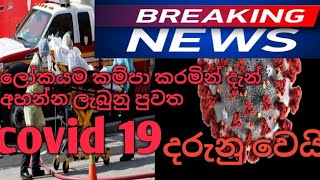 #covid19#united state#  100000 reported  24 තුල ඇමරිකාවෙ කොරෝනා ගනන් 100000 පනී.