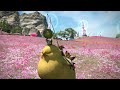 mip3 000報酬マウントの王冠デブチョコボ『パレードチョコボ』~final fantasy xiv~