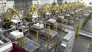 Robot Palletizers - 12 Lines of Bags