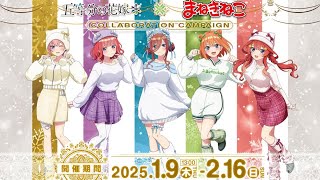 【#速報】五等分の花嫁×まねきねこコラボ開催決定!!   必ず行くしかない