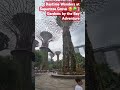 GARDENS BY THE BAY Nature's Giants in Daylight 🌳☀️ | Supertree Grove Experience