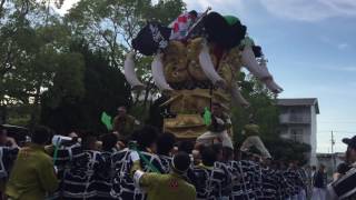 2016大橋祭り 鳥洲西太鼓台